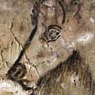 Bison Assyrien - Grotte de Niaux