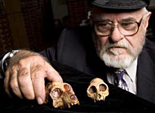 Aegyptopithecus : les deux spécimens avec Eylwin Simons