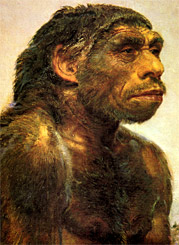 Neandertal par Burian - 1950 