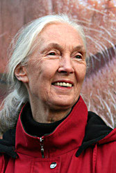 Jane Goodall lors de l'inauguration de l'exposition