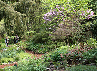 Jardin Alpin au Jardin des Plantes