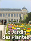 Jardin des Plantes à Paris