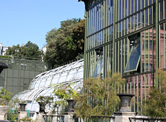 Serre Jardin des Plantes