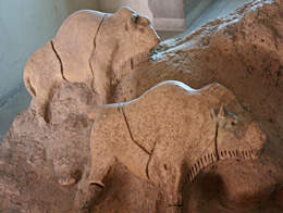Bisons en argile au Tuc d'Audoubert