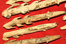 Harpons de la Grotte de Lorthet - Collection Piette