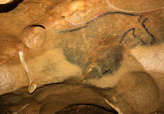 Cheval au fond de la grotte 