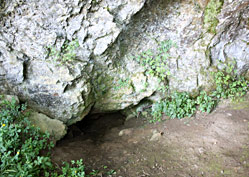 L'entrée de la grotte de Mayenne-Sciences