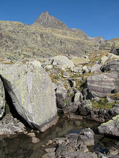 Gravures Vallée Des Merveilles Mont Bego Hominidés