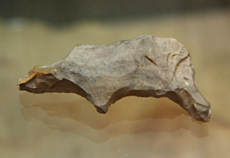 Silex découpé en forme de figure animale