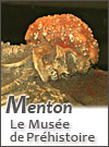 Musée de préhistoire de Menton