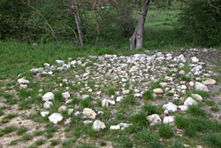 olduvai site prehistorique