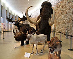 musée de quinson