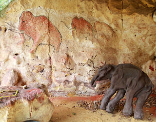 Animation art pariétal