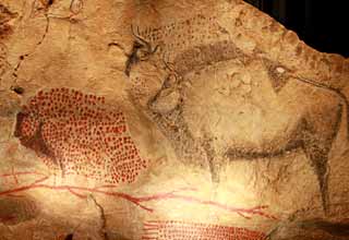 Bisons peints de la Grotte de Marsoulas