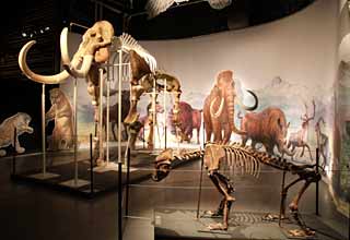 Parc De Prehistoire Tarascon Visite Images Hominides