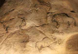 Panneau présentant plusieurs bisons à Niaux