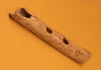 Musique De La Pr histoire Instruments Hominid s Musique De La Pr histoire Instruments Hominid s