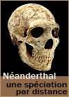 Néandertal - Spéciation par distance