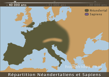 Répartition géographique de néandertal et de sapiens