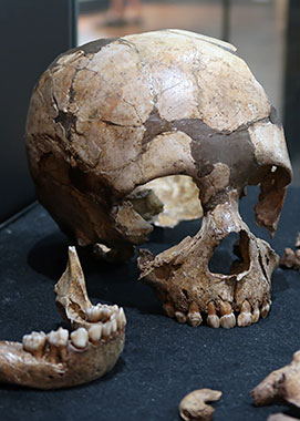 enfant-neandertalien-roc-de-marsal