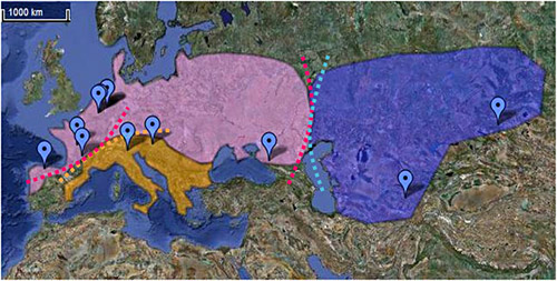 3 sous-groupes de néandertaliens