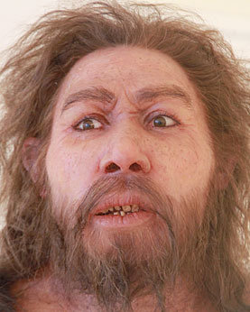 20% de l'ADN de Néandertal dans Homo sapiens