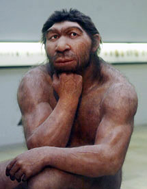 Sapiens et néandertal ont-ils un ancêtre commun qui serait à l'origine du petit pourcentage d'ADN en commun ?
