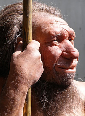 Néandertal nous a légué une sensibilité aux allergie...