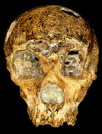 Néandertal en Italie il y a 250 000 ans 