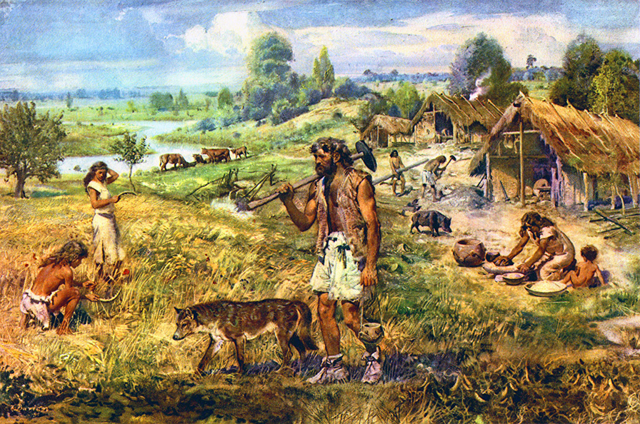 Le N olithique L cole Pascal Semonsut Hominid s Le N olithique L cole Pascal Semonsut Hominid s