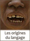 les origines du langage