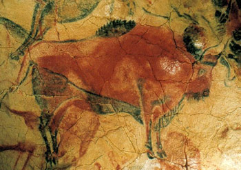Grotte Altamira - bison