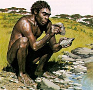 Les Premiers Outils De L Homme Hominides Les Premiers Outils De L Homme Hominides