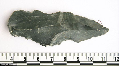 Un outil de 250 000 ans avec des traces de sang animal
