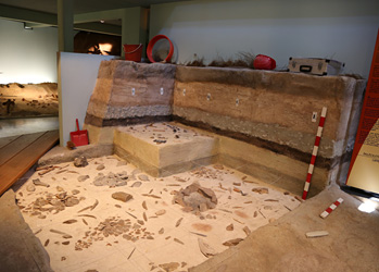 Fouilles archéologiques