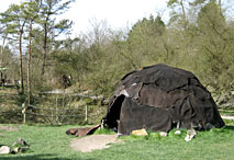 Hutte du paléolithique