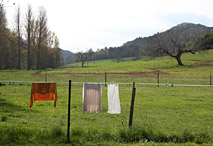 Paysage Périgord