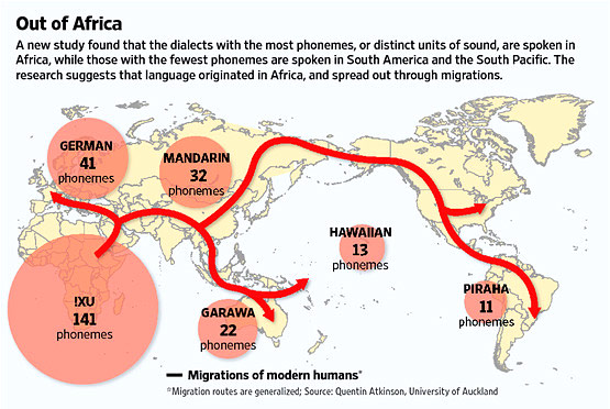 Répartition des langues dan sle nombre par le nombre de phonèmes utilisés