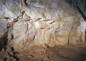 Panneau des bouquetins du Roc-aux-sorciers 