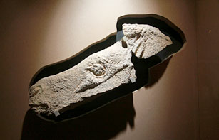 Tête de cheval gravée Cave Taillebourg