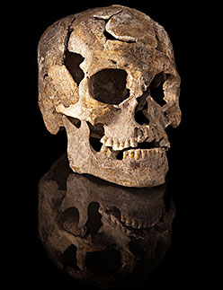 Les crânes des premiers amérindiens