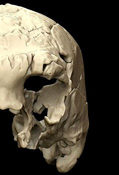 Un crâne de 400 000 ns découvert au Portugal 