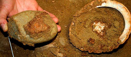 Coquillages contenant de l'ocre il y a 100 000 ans à Blombos en Afrique du sud