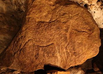 Cheval gravé sur bloc calcaire - Abri Reverdit