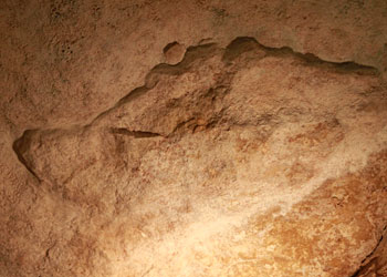 Tête d'ours gravée