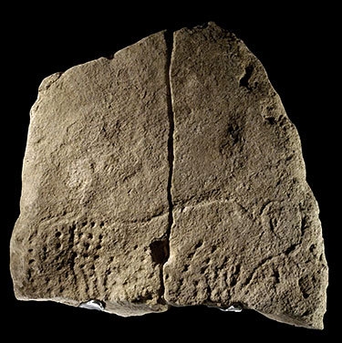 Aurochs 38 000 ans gravé sur plaque de calcaire - Abri Blancahrd - Castel Merle à Sergéac
