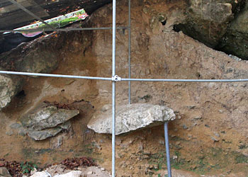Abri Reverdit Stratigraphie