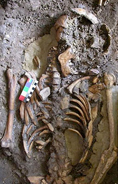 Squelette européen du Caucase il y a 