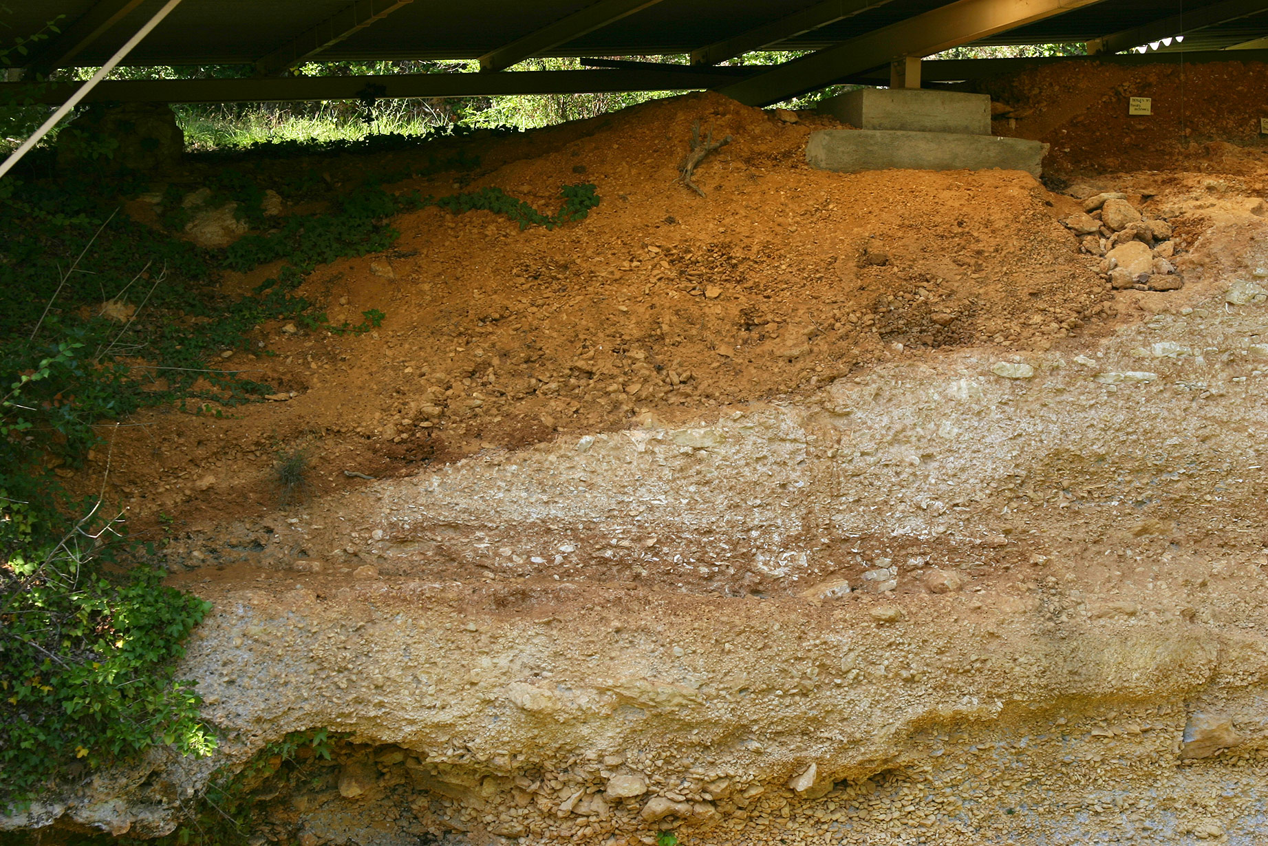 La Micoque visite images Hominidés