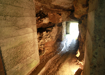 Galerie de recherche